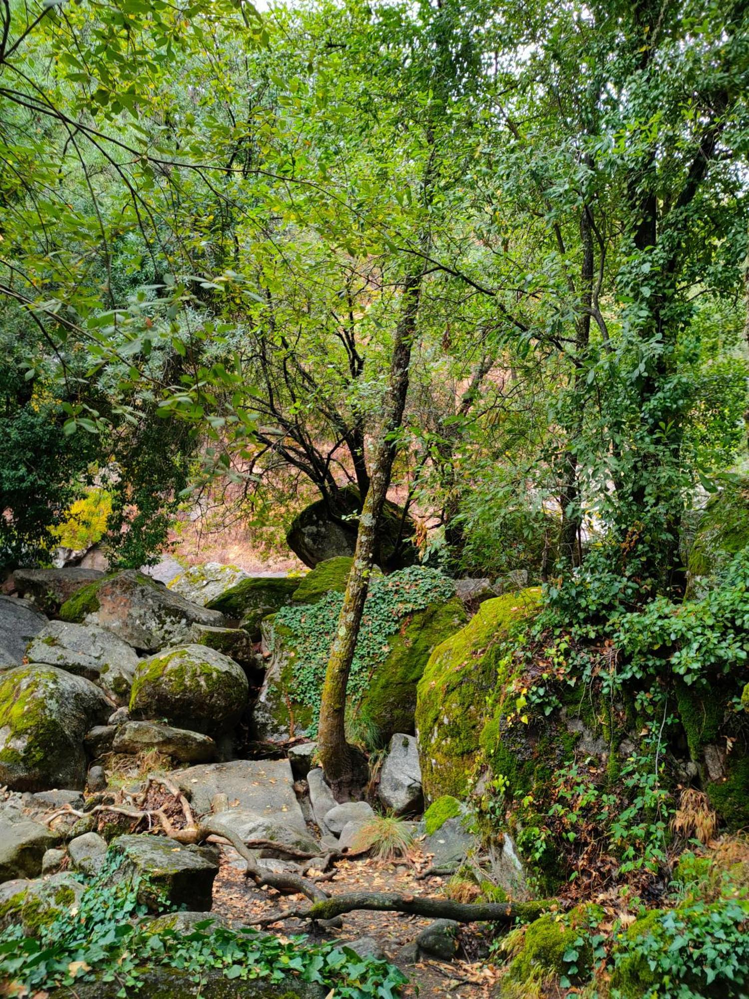 Acogedor Apartamento Valle Del Jerte Piornal Esterno foto