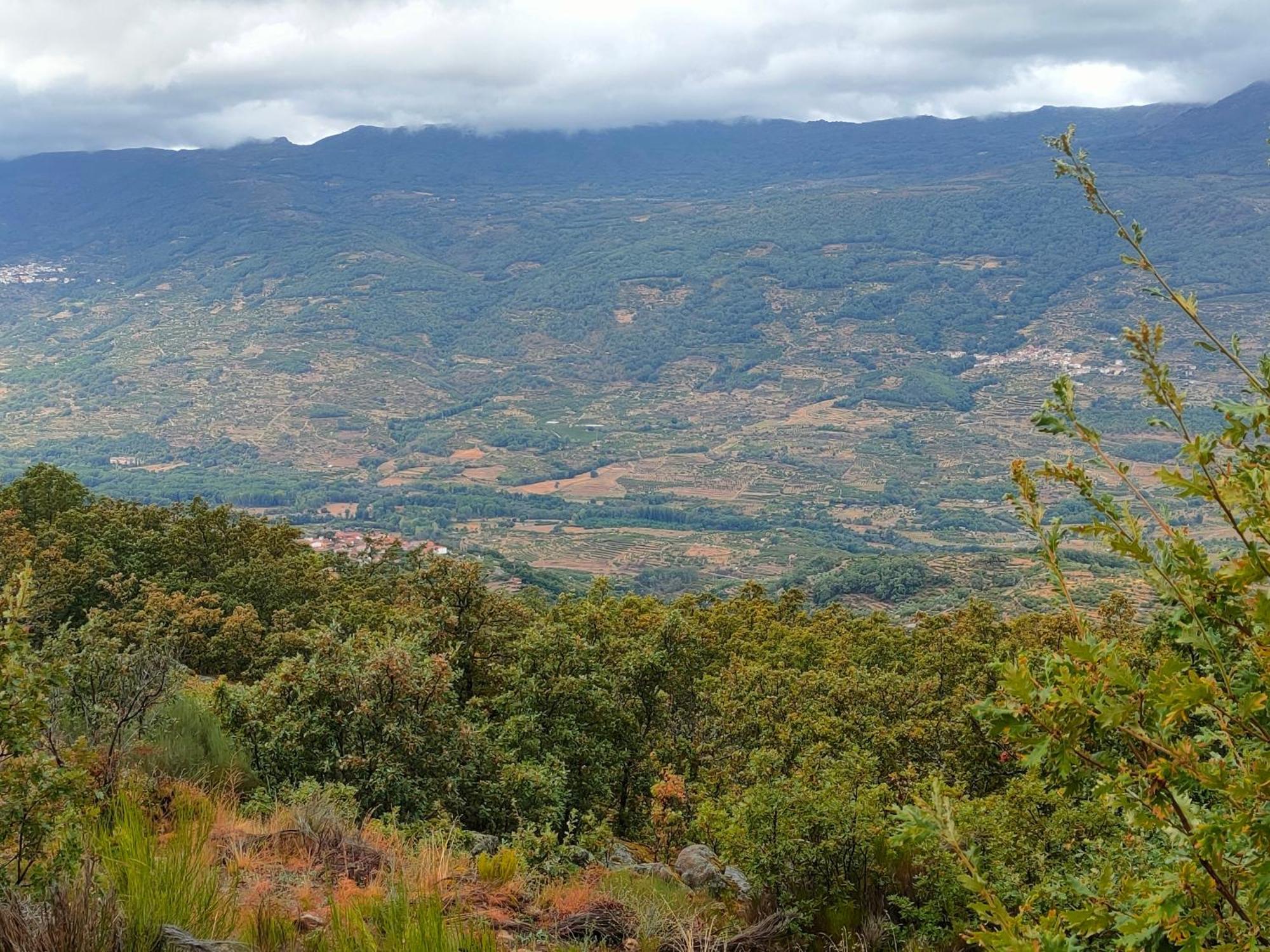Acogedor Apartamento Valle Del Jerte Piornal Esterno foto