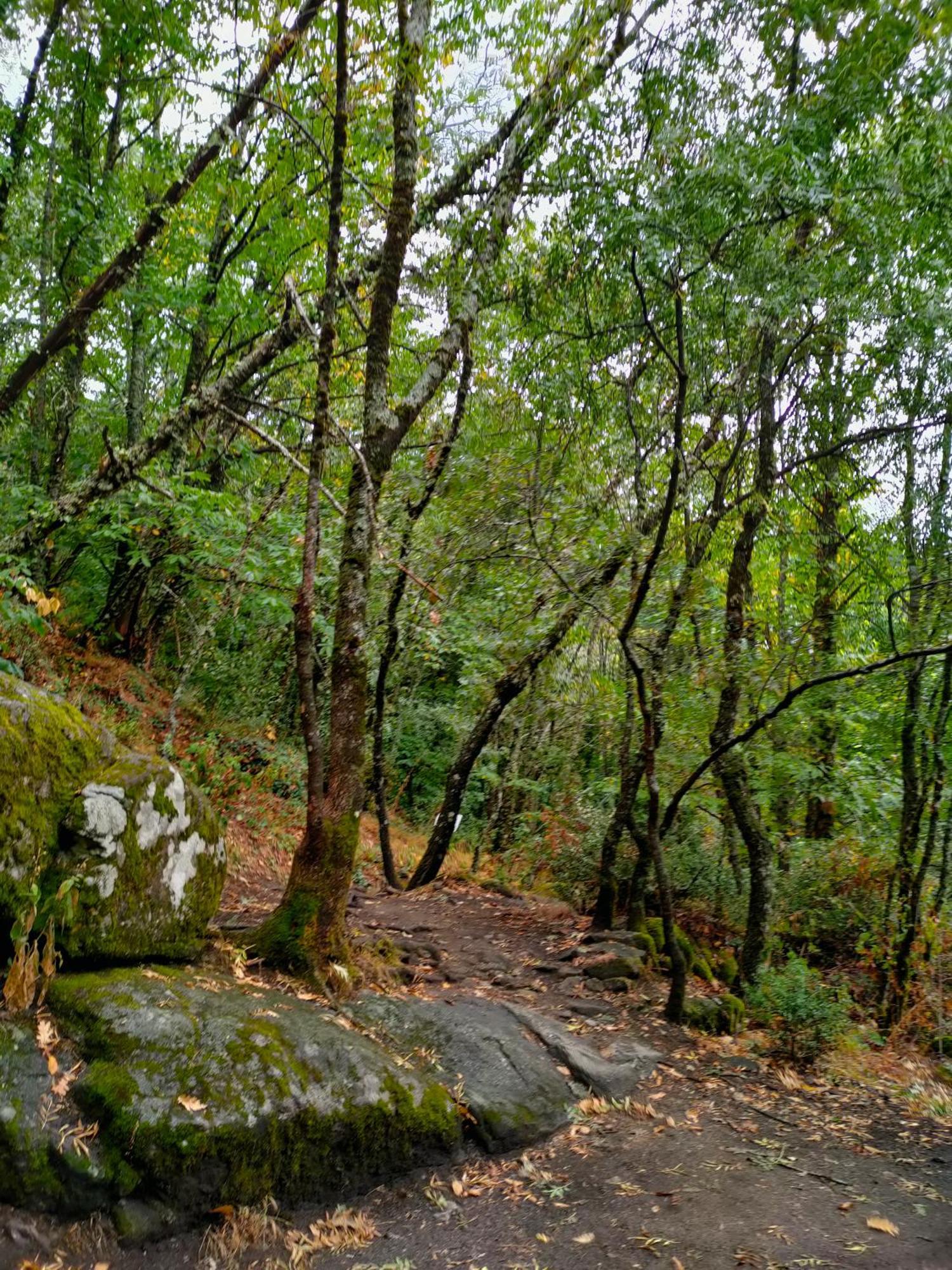Acogedor Apartamento Valle Del Jerte Piornal Esterno foto